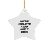 Funny PE Teacher Star Ornament Gift, PE Teacher Quotes for Christmas, Funny Teacher Gifts from Friends to PE Teacher - Image 1